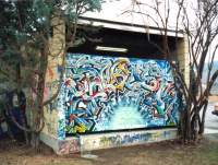 kamloops_graff18x.jpg