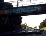 REVOK OFF THE 101 SF 