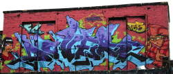 5_pointz_doves_2008x.jpg