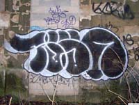 vandal_tosk2003x.jpg