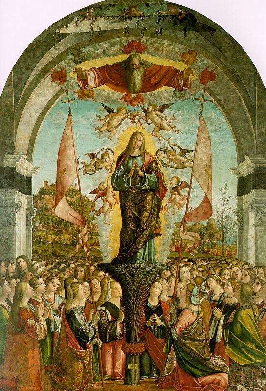 The Apotheosis of St. Ursula