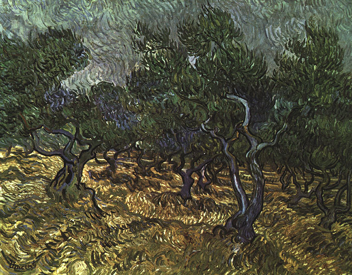 The Olive Grove